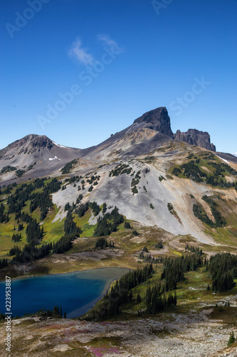 Beautiful Canadian Mountain Landscape view during a vibrant sunny summer day. Taken in Garibaldi Provincial Park  located near Whister and Squamish  North of Vancouver  BC  Canada.