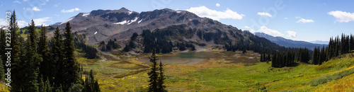 Beautiful panoramic landscape view during a vibrant sunny summer day. Taken in Garibaldi Provincial Park, located near Whister and Squamish, North of Vancouver, BC, Canada.