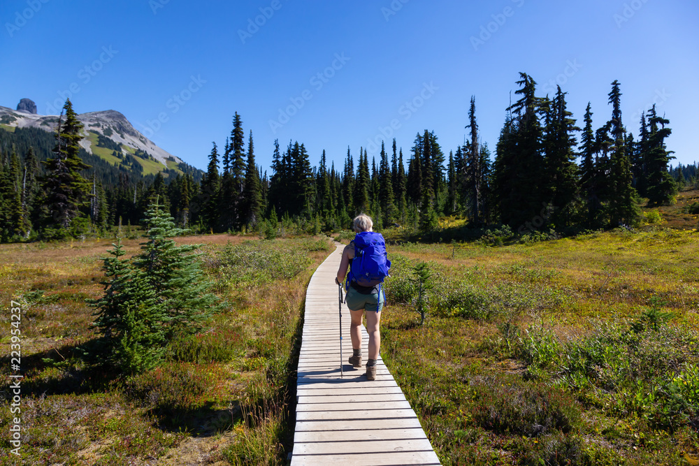 Girl hiking on a trail in nature during a vibrant sunny summer day. Taken in Garibaldi Provincial Park, located near Whister and Squamish, North of Vancouver, BC, Canada.