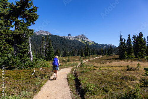 Girl hiking on a trail in nature during a vibrant sunny summer day. Taken in Garibaldi Provincial Park, located near Whister and Squamish, North of Vancouver, BC, Canada.