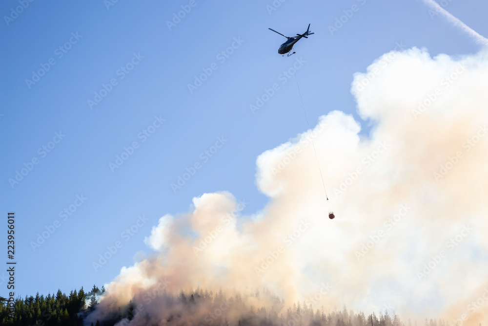 Obraz premium Helicopter fighting BC forest fires during a hot sunny summer day. Taken near Port Alice, Northern Vancouver Island, British Columbia, Canada.