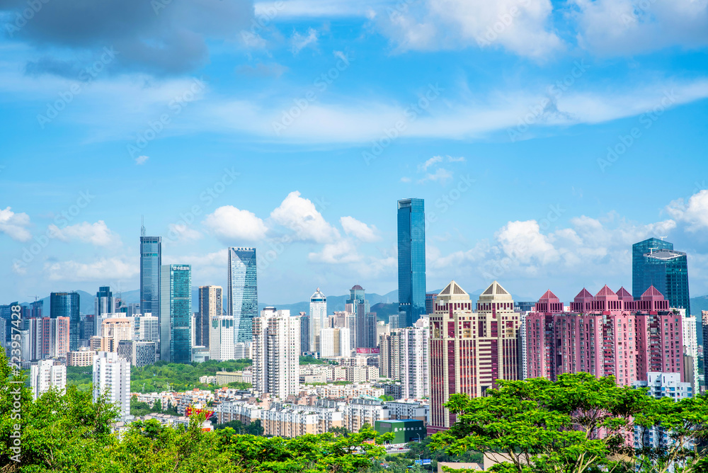 Obraz premium Shenzhen real estate real estate