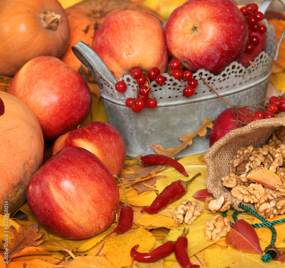 autumn harvest - fruits and vegetables are on fallen yellow leaves, nuts, apples, pumpkins, rowan and pepper. Perfect background for autumn season. autumn harvest - fruits and vegetables are on fallen yellow leaves, nuts, apples, pumpkins, rowan and pepper. Perfect background for autumn season.