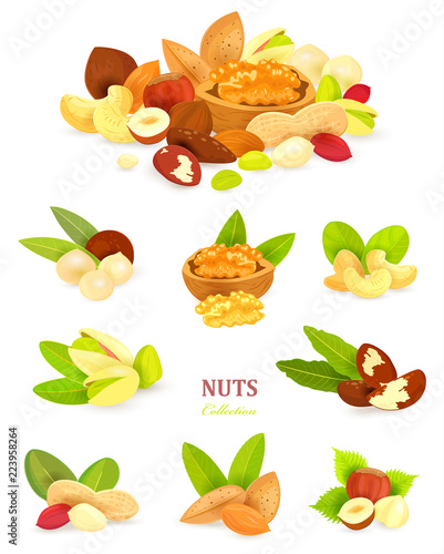 collection of colorful nuts on white background your design