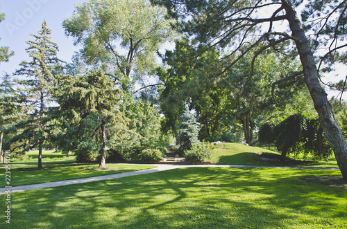 Wallpaper Mural The green grass and cool shade under the trees and sun light of the local park.  Torontodigital.ca