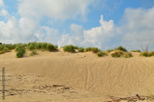 dune on the beach