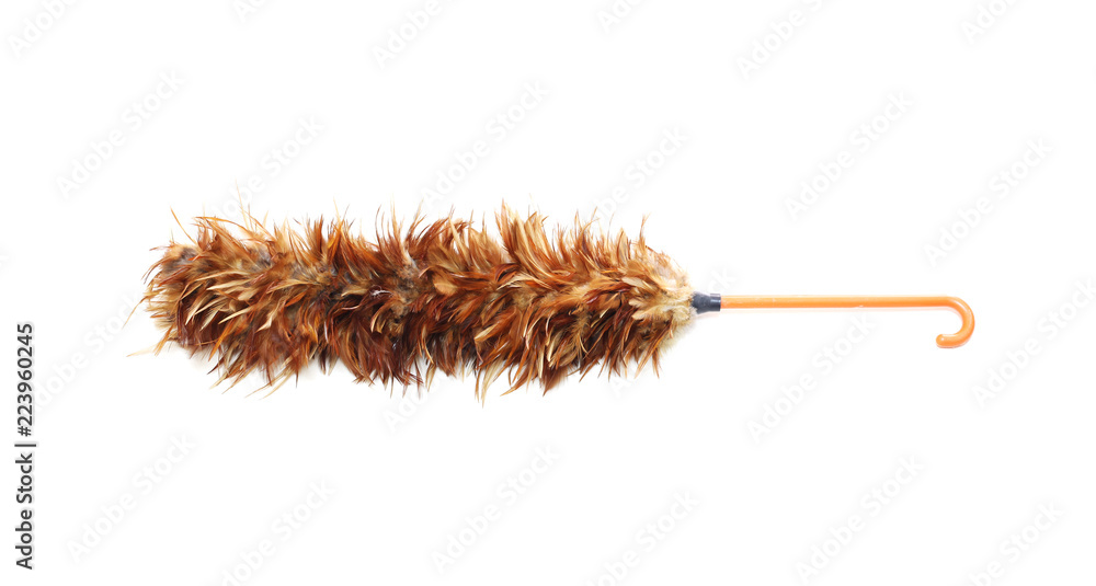 Fotografia chicken feather duster on white background