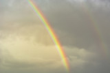 Bright rainbow against the sky after the rain