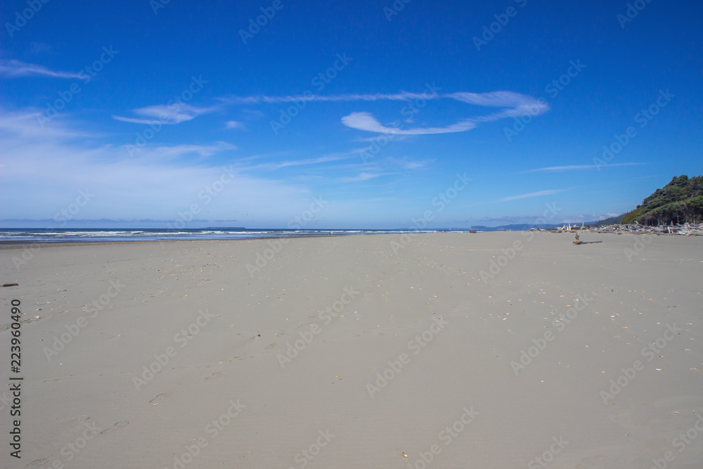Coastal Ocean Beach Blue Sky Clouds Reflections and Sea Birds 