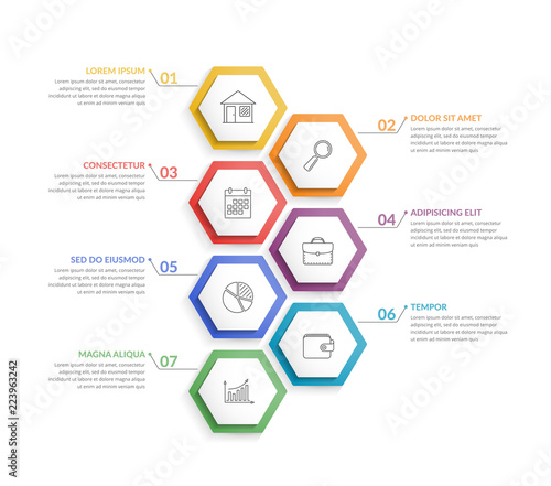 7 Steps Infographics