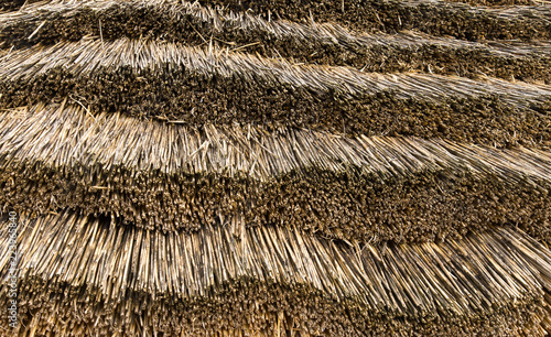 Obraz na plátně thatch straws of reed as background