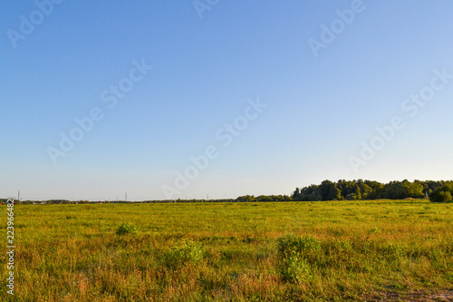 Field and sky on a sunny summer day. Russia. Moscow region