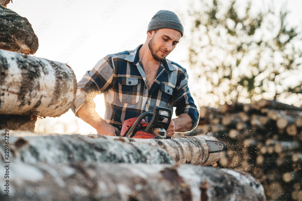 Strong bearded lumberjack in plaid shirt sawing tree with chainsaw Strong bearded lumberjack in plaid shirt sawing tree with chainsaw
