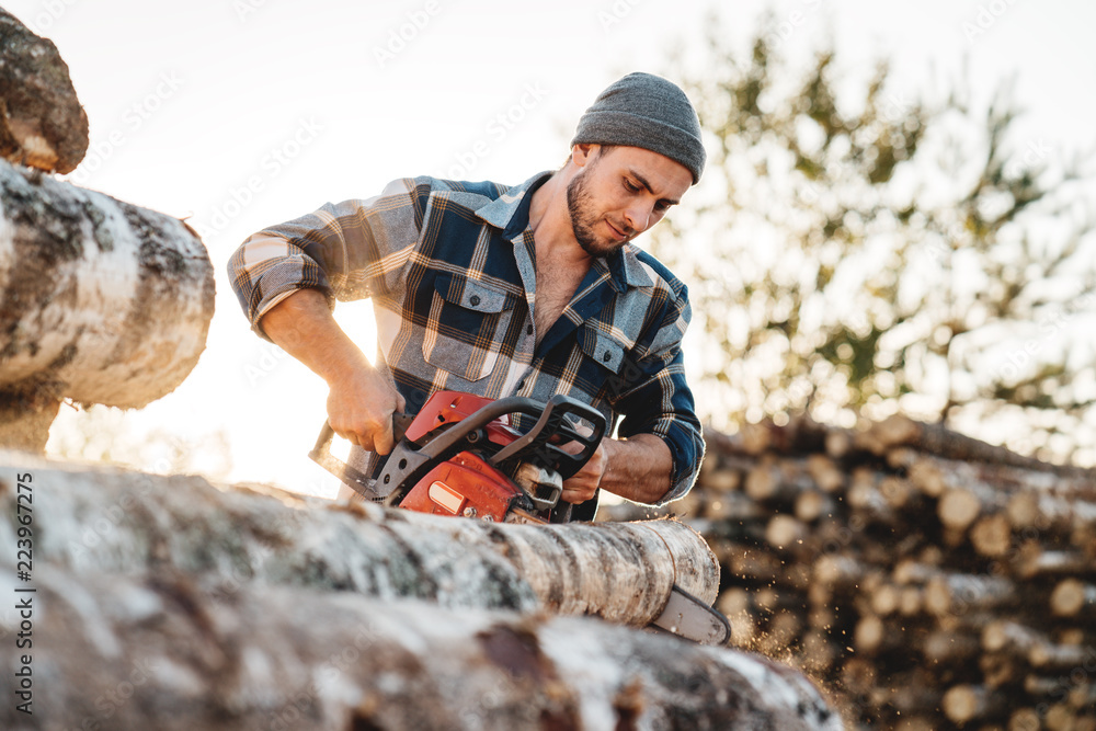 Bearded brutal lumberjack wearing plaid shirt sawing tree with chainsaw for work on sawmill. Wooden sawdust fly apart