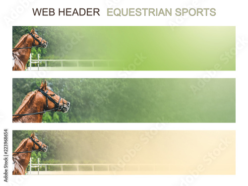 Banner template set, equestrian sports. Collection of horizontal web header designs, 4500 x 900 pixels, green trees and rider with horse as a background, copy space.