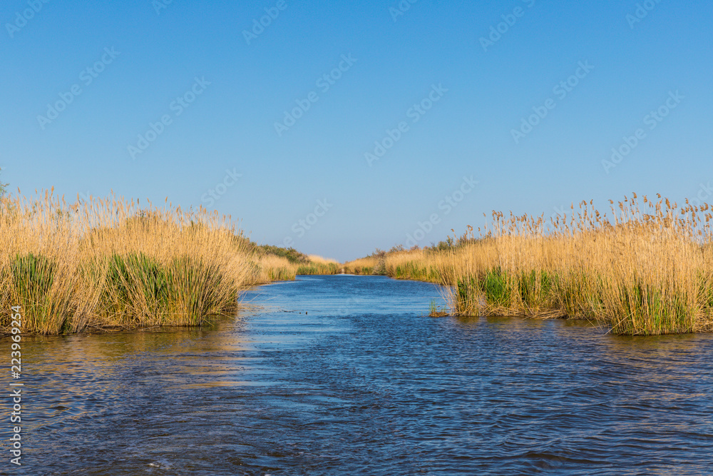 Stubble fields by the river in Evros Delta, Greece Stubble fields by the river in Evros Delta, Greece