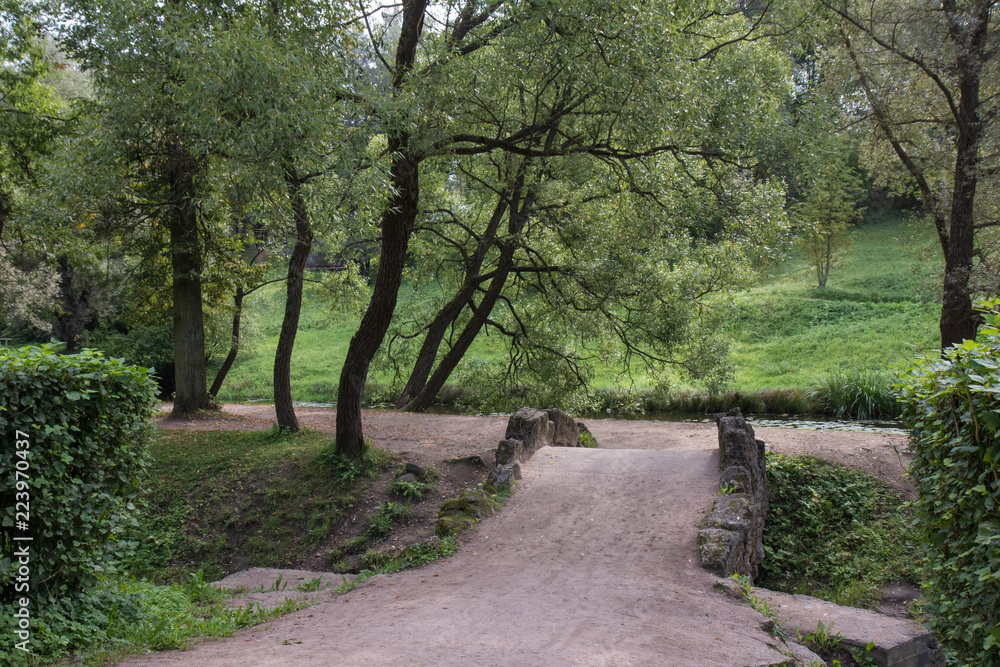 Autumn landscape, river, park, sunny weather. Pavlovsk, St. Petersburg