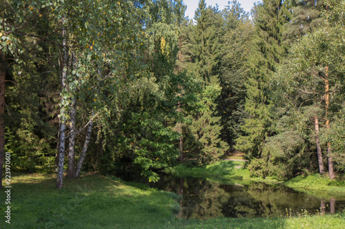 Autumn landscape  river  park  sunny weather. Pavlovsk  St. Petersburg