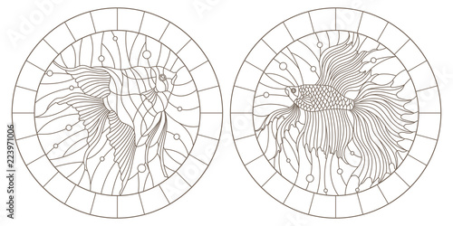 Set contour illustrations in the stained glass style aquarium fish fish cock and scalars , dark contours on white background, round images in frames 