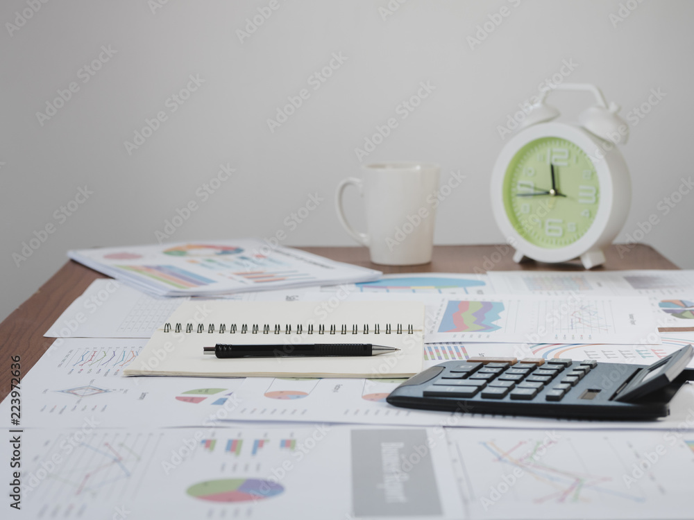 Fototapeta premium Document of account, calculated, financial reporting, with charts, graphs on the desk. The concept of business finance and accounting, Start up business