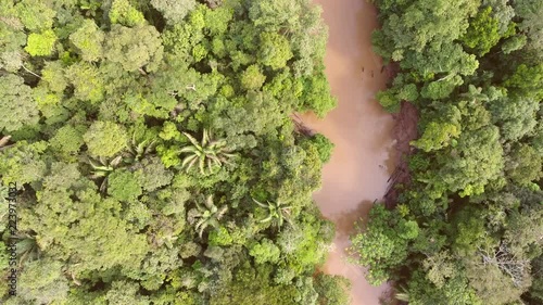 Tracking sideways over pristine tropical rainforest with the camera looking down. Starting on the Rio Shiripuno, a tributary of the Amazon in Ecuador photo