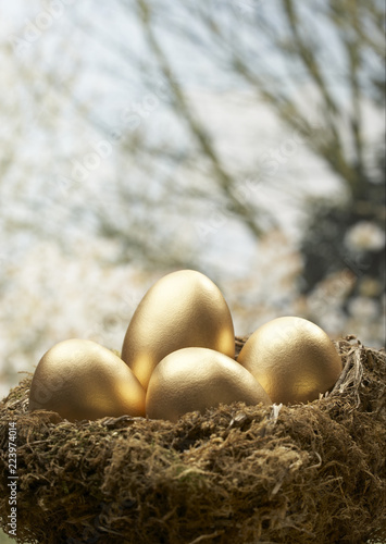 FOUR GOLD EGGS IN BIRDS NEST WITH TREE IN BACKGROUND