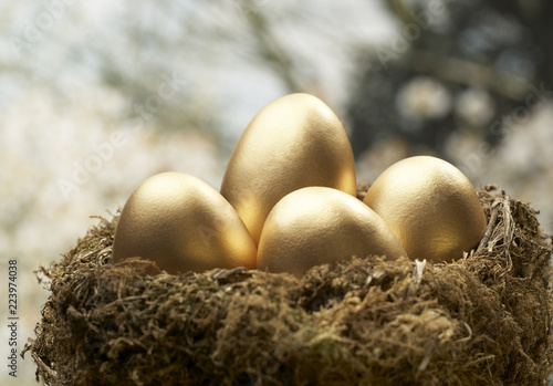 FOUR GOLD EGGS IN  BIRDS NEST WITH TREE IN BACKGROUND