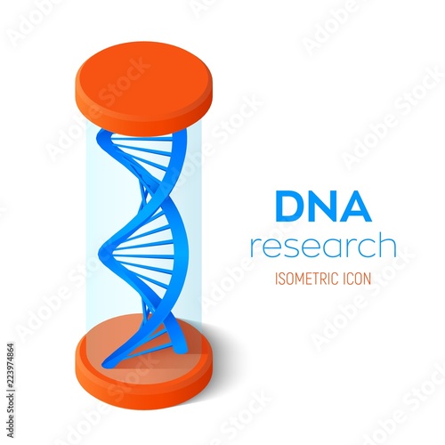 DNA isometric icon. Wireframe DNA molecules structure mesh. DNA code editable template. Science and Technology concept. Vector illustration.
