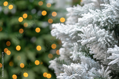 Snow-covered Christmas tree and Christmas lights.