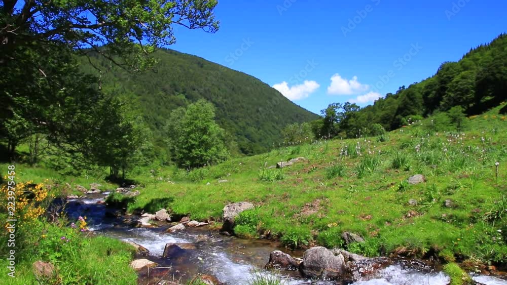 mountain stream in the Pyrenees, Ariege in the south of France
