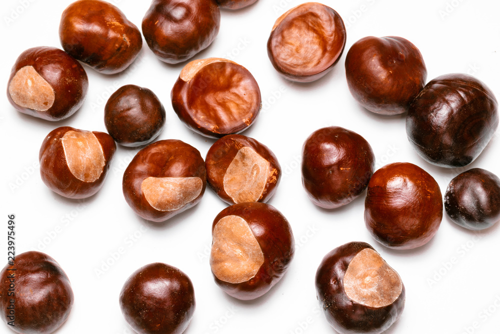 pine cones, chestnuts, acorns and dried leaves on a white background pine cones, chestnuts, acorns and dried leaves on a white background
