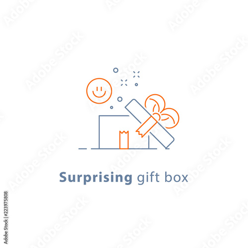Prize give away, surprising gift, emotional present, fun experience, gift idea concept, line icon