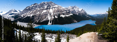 Panoramic view of Peyto lake on icefield parkway