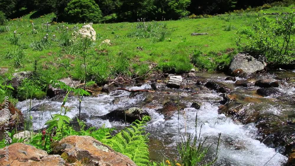 mountain stream in the Pyrenees, Ariege in the south of France
mountain stream in the Pyrenees, Ariege in the south of France