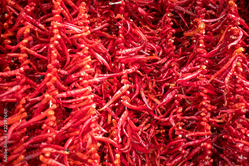 Fototapeta premium pepper hanging to dry in the sun