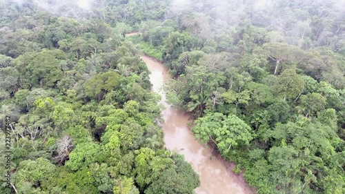 Rising up over the Rio Shiripuno in the Ecuadorian Amazon at dawn with mist blowing over the rainforest canopy. photo