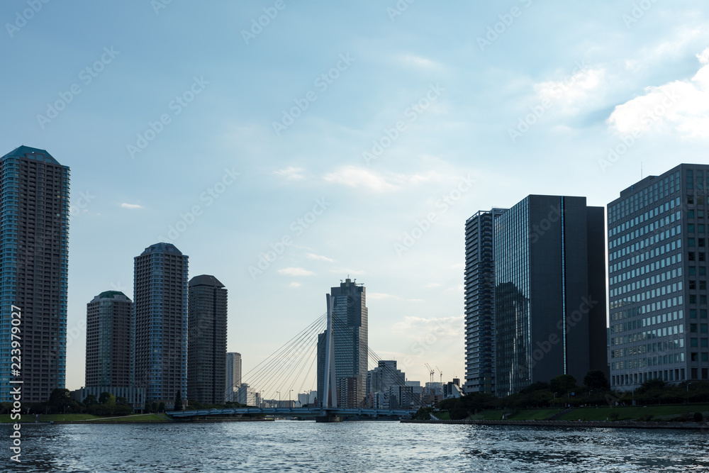 Naklejka premium (東京都ｰ都市風景)永代橋周辺ウォーターフロント午後の風景３