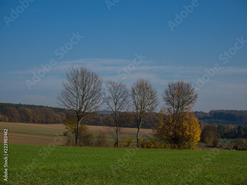 Rural scene in autumn