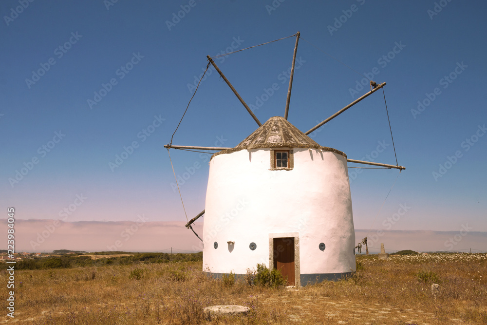Precioso molino de viento Precioso molino de viento