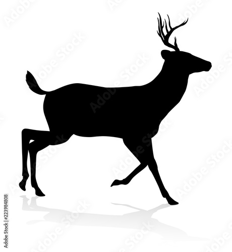 High quality animal silhoue...