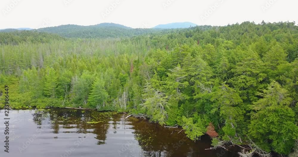 Adirondack Evergreen Forest Aerial