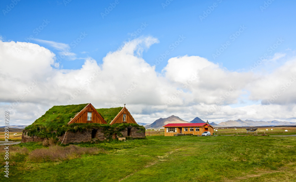 typical green houses with gras roof in iceland