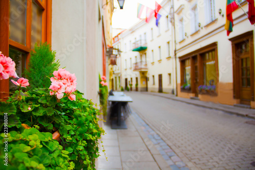 Fototapeta Naklejka Na Ścianę i Meble -  flowers on th street in Vilnus