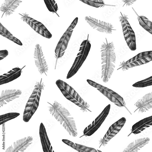 Pencil drawing seamless pattern with bird feathers © Mariya