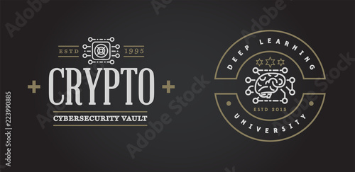 Set of Vector Cyber Security Identity Badges and Signs Can be used as Logotype