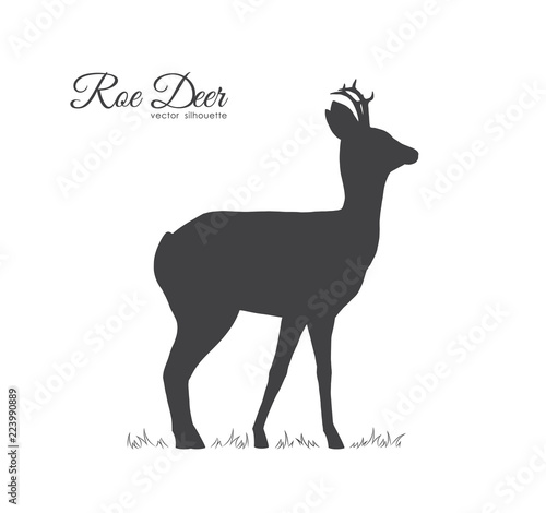 Vector illustration: Black silhouette of Roe Deer isolated on white background.