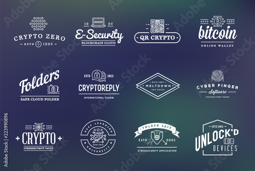 Set of Vector Cyber Security Identity Badges and Signs Can be used as Logotype