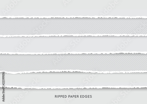 Set of Ripped and Torn Paper Stripes. Texture of Paper with Damaged Edge Isolated on Transparent background. Vector illustration.