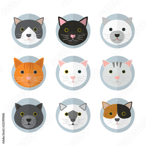 Cat faces in many breeds. With blue circle layers and plain background. Flat design style.