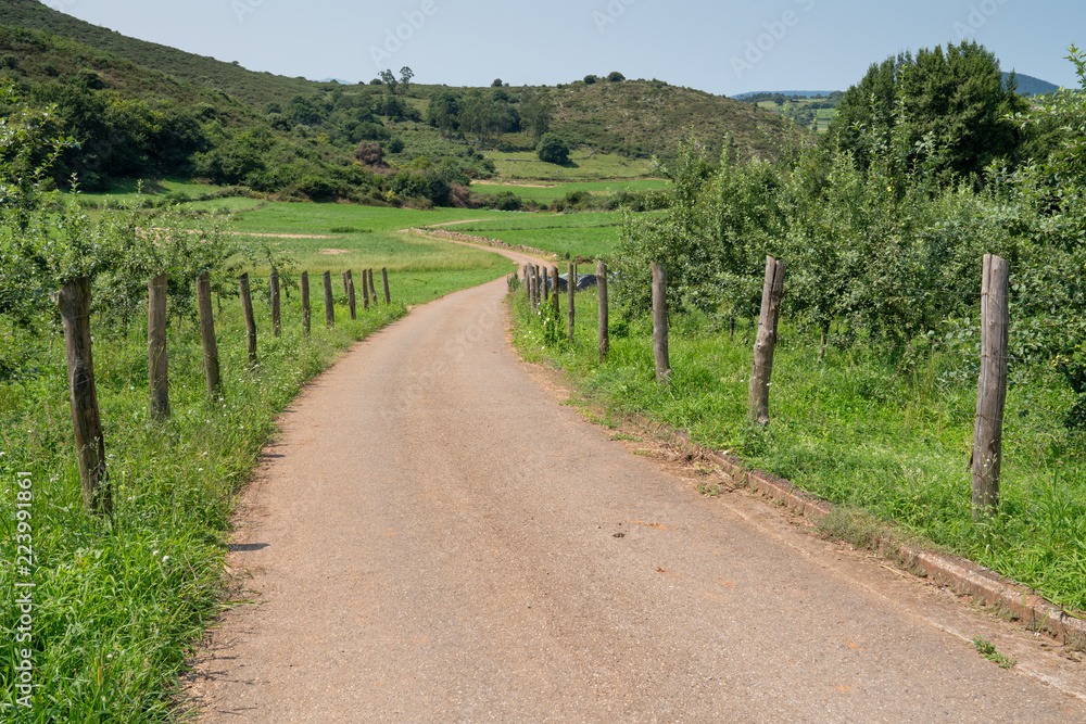 Beautiful landscape along the Camino de Santiago trail between Oviedo and Grado, Asturias, Spain